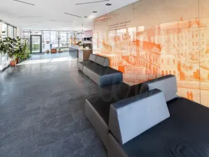 Prodej bytu 2+kk, Praha - Vinohrady, Korunní, 59 m2