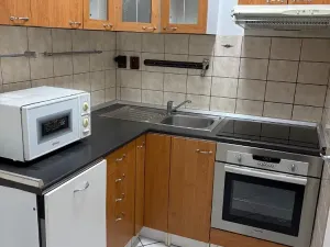 Prodej bytu 2+kk, Praha - Žižkov, Hartigova, 55 m2