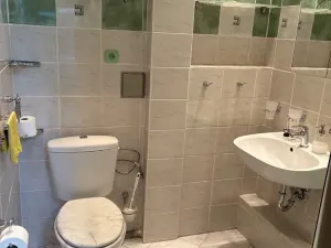 Prodej bytu 2+kk, Praha - Žižkov, Hartigova, 55 m2