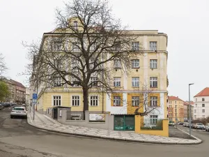 Pronájem bytu 2+kk, Praha - Vinohrady, Pod Karlovem, 48 m2