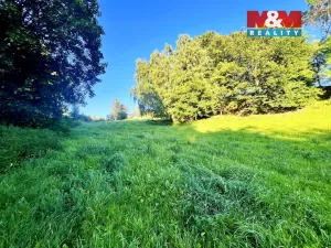 Prodej louky, Teplice nad Metují - Horní Teplice, 5449 m2