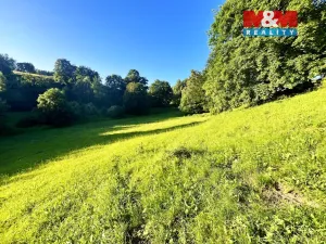 Prodej louky, Teplice nad Metují - Horní Teplice, 5449 m2