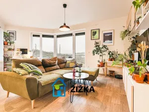 Prodej bytu 2+kk, Brno, Bělohorská, 60 m2