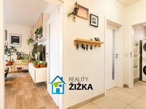 Prodej bytu 2+kk, Brno, Bělohorská, 60 m2