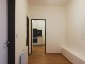 Pronájem bytu 1+1, Praha - Braník, Ke Krči, 38 m2