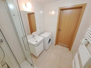 Pronájem bytu 1+kk, Brno, Nad Přehradou, 24 m2