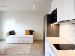 Pronájem bytu 1+kk, Praha - Chodov, Šternovská, 30 m2