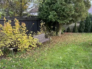 Prodej rodinného domu, Hvozd, 90 m2