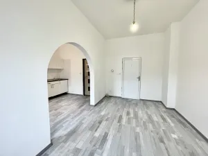 Pronájem bytu 1+1, Teplice, Jankovcova, 28 m2