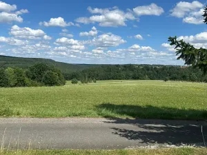 Prodej pozemku pro bydlení, Albrechtice nad Vltavou, 800 m2