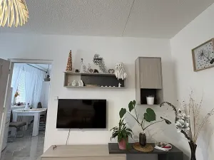 Pronájem bytu 3+1, Třebíč, Jar. Haška, 73 m2