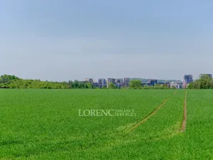 Prodej pozemku, Praha - Kbely, Ponikelská, 707 m2