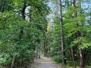Prodej rodinného domu, Babice, Sportovní, 160 m2