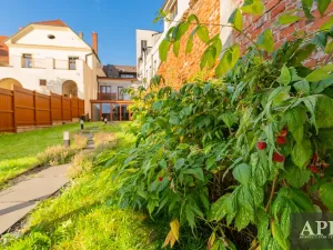 Prodej rodinného domu, Uherský Brod, Masarykovo nám., 131 m2