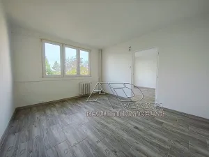 Prodej bytu 3+1, České Budějovice, L. M. Pařízka, 61 m2