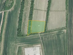 Prodej pole, Žarošice, 8639 m2