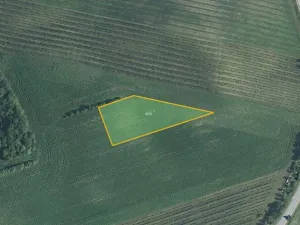 Prodej pole, Hovorany, 3948 m2