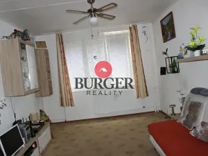 Prodej bytu 1+1, Chomutov, Výletní, 40 m2