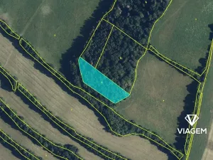 Prodej lesa, Tvrdkov, 5303 m2