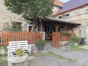 Prodej vícegeneračního domu, Bžany, 240 m2