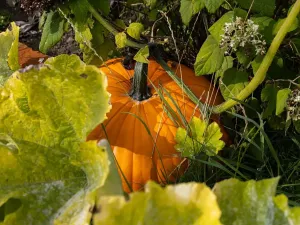 Prodej rodinného domu, Bžany, 240 m2