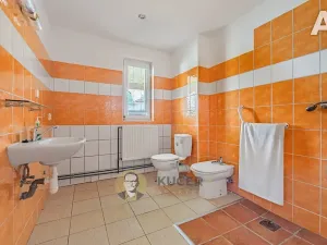 Prodej komerční nemovitosti, Velká Chmelištná, 550 m2