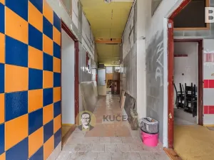 Prodej rodinného domu, Velká Chmelištná, 550 m2