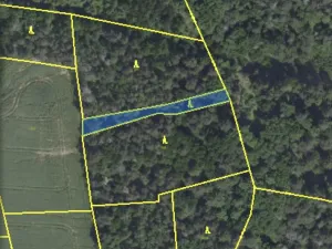 Prodej lesa, Chářovice, 617 m2
