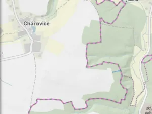 Prodej lesa, Chářovice, 617 m2