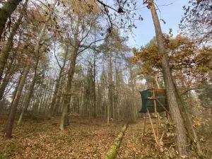 Prodej lesa, Chářovice, 4568 m2