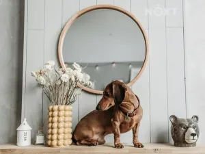 Prodej rodinného domu, České Budějovice, Nádražní, 106 m2