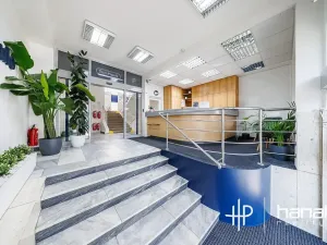 Pronájem kanceláře, Olomouc, Karolíny Světlé, 30 m2