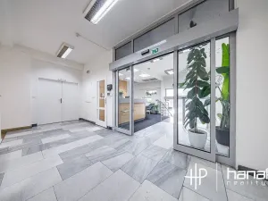 Pronájem kanceláře, Olomouc, Karolíny Světlé, 200 m2