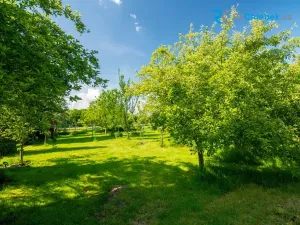 Prodej bytu 2+1, Frýdek-Místek, Panské Nové Dvory, 62 m2