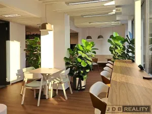 Pronájem kanceláře, Praha - Nusle, Lomnického, 20 m2