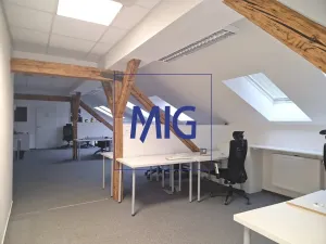 Pronájem kanceláře, Brno, Kounicova, 159 m2