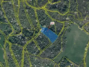 Dražba lesa, Zubrnice, 4610 m2