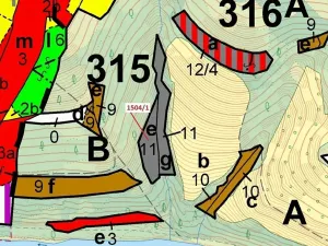 Dražba lesa, Hovězí, 2626 m2