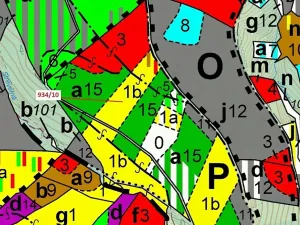Dražba lesa, Jílové u Držkova, 4305 m2
