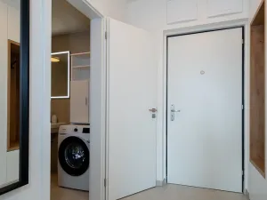 Pronájem bytu 1+kk, Praha - Žižkov, Olgy Havlové, 38 m2