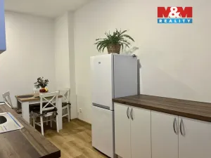 Prodej bytu 1+1, Ústí nad Labem - Ústí nad Labem-centrum, Pasteurova, 37 m2