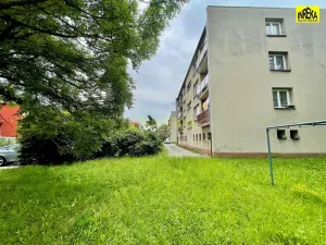 Prodej bytu 3+1, Planá nad Lužnicí, 79 m2