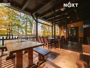 Prodej ubytování, Račice-Pístovice, 304 m2