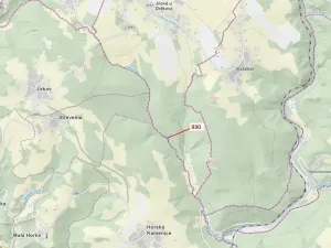 Dražba lesa, Jílové u Držkova, 967 m2