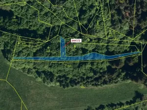 Dražba lesa, Hovězí, 550 m2