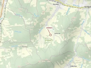 Dražba lesa, Hovězí, 605 m2