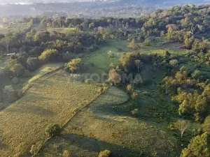 Prodej pozemku pro bydlení, Puerto Jiménez, Kostarika, Calle Los Pollos, 8924 m2