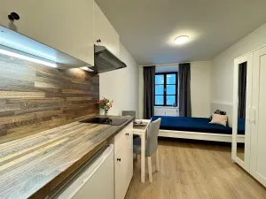 Pronájem bytu 1+kk, Brno, Francouzská, 22 m2