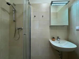 Pronájem bytu 1+kk, Brno, Francouzská, 22 m2