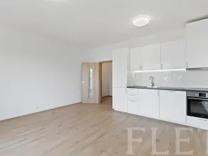 Pronájem bytu 1+kk, Praha - Chodov, Klapálkova, 33 m2